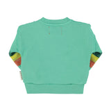 Unisex baby green sweatshirt with multicolor sleeve stripes