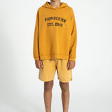 boy shorts | camel