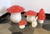 Small Mushroom Night Light Red