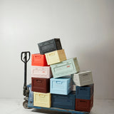 Box "L" | Mint