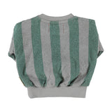 Baby Sweatshirt Grey & Green Stripes